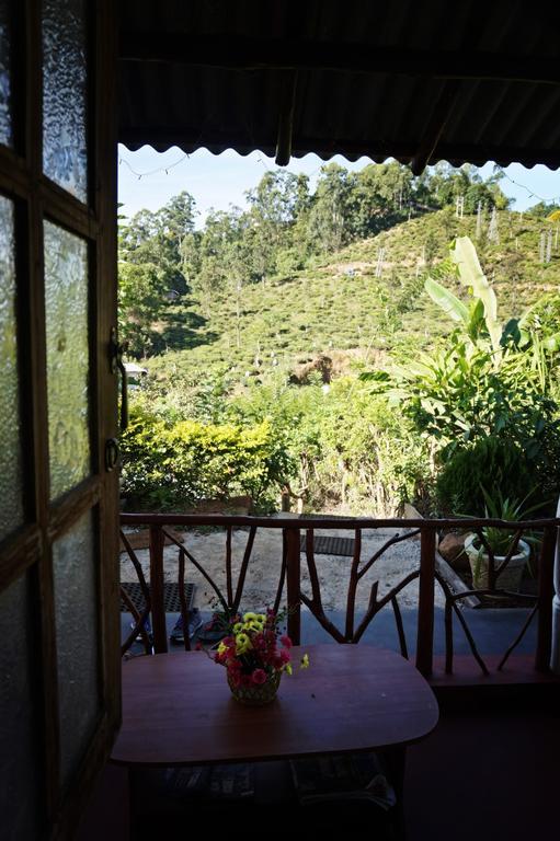 Tunnel Gap Homestay *