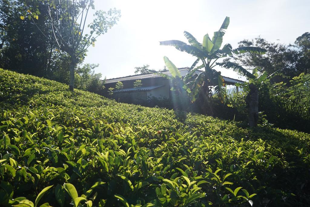 Tunnel Gap Homestay