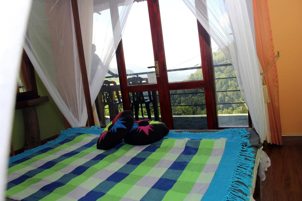 Hide View * Ella