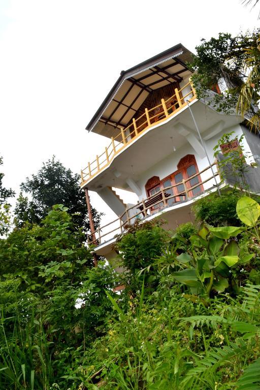 Eden View - Tour Options In The Area