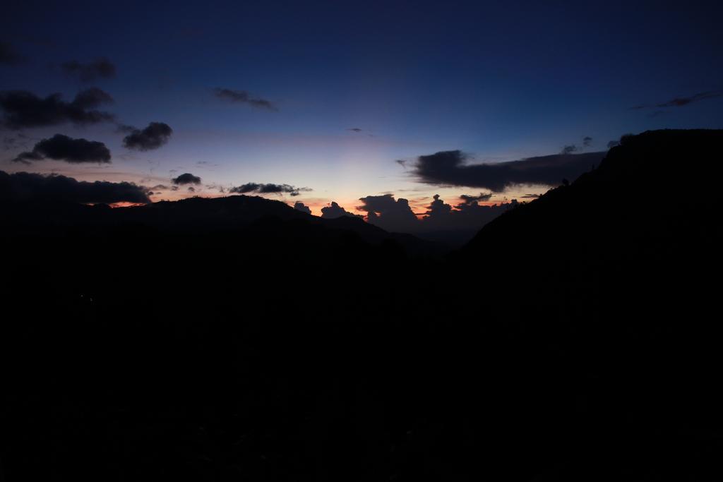 Guest house Nature View