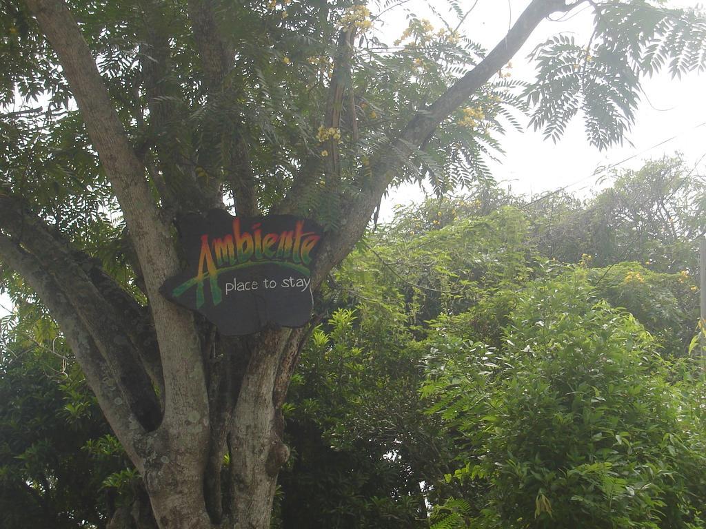 Ambiente Guest house Ella