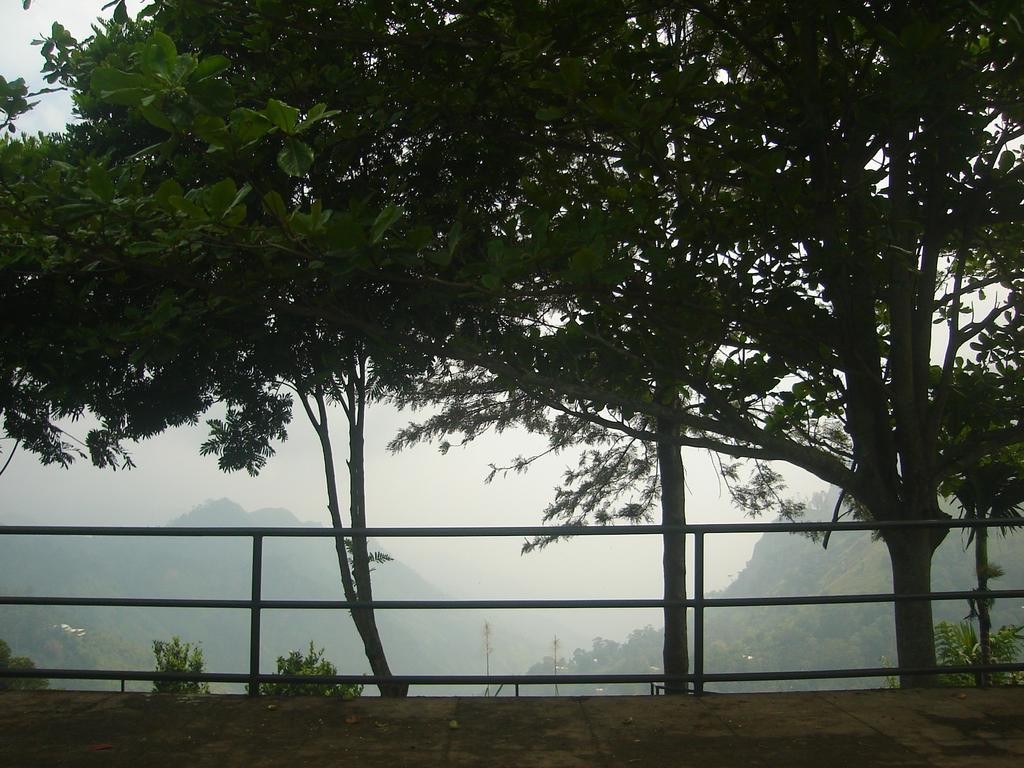 Ambiente * Ella