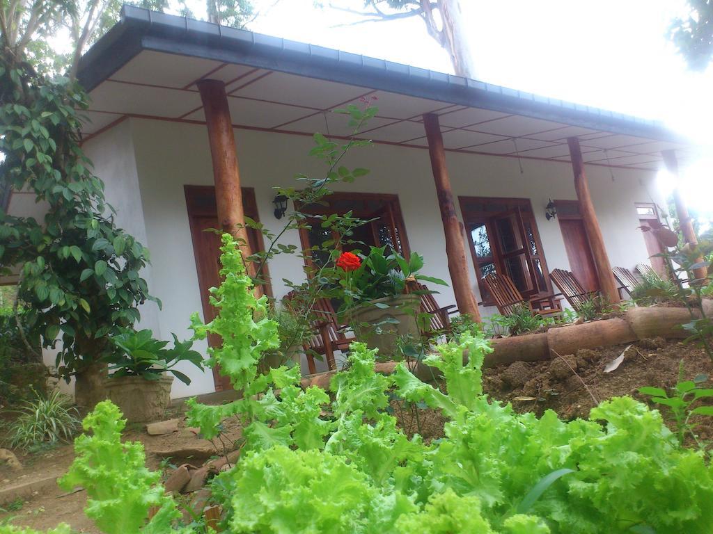 Bed & Breakfast Aurora Holiday *