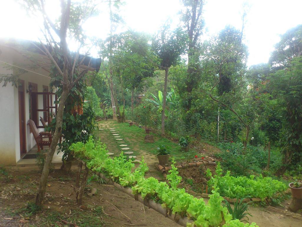 Bed & Breakfast Aurora Holiday
