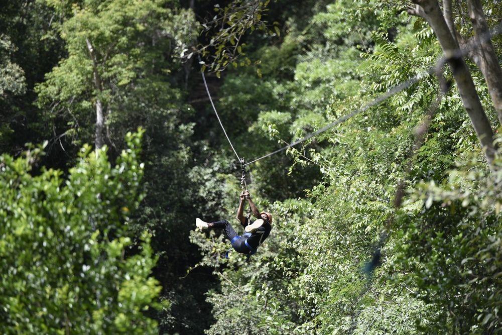 Resort Jungle 3*