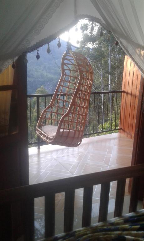 Homestay Lucky Star