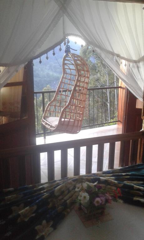 Homestay Lucky Star *