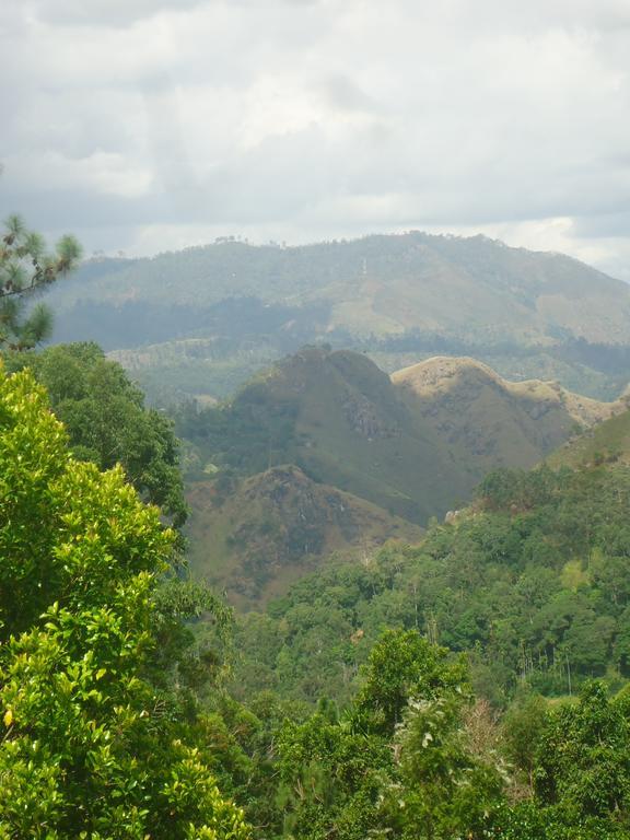 Homestay Daban *