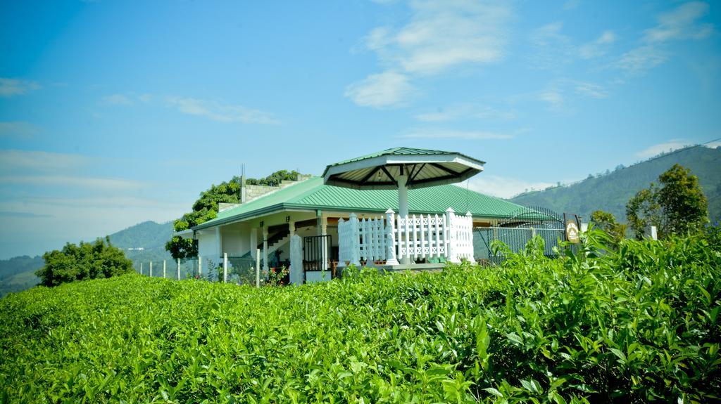Cool Mount Guest house *