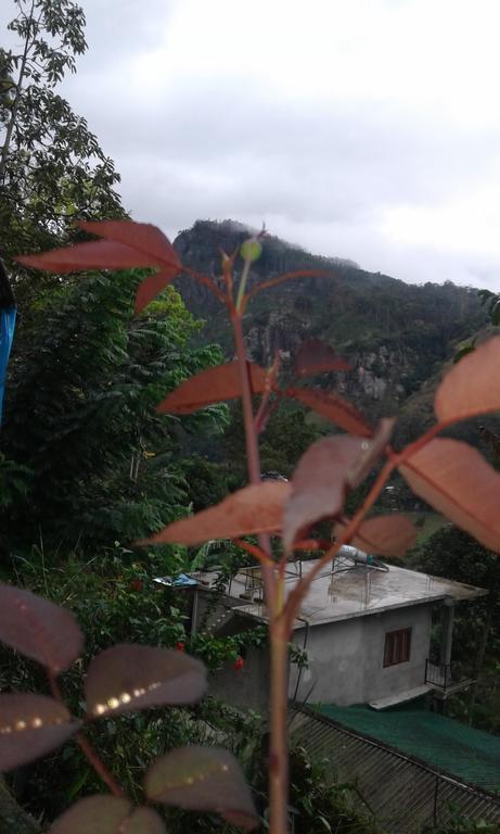 Homestay Yoho Kapila Relax