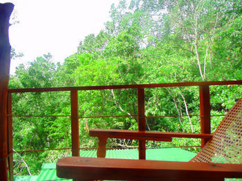 Ella Green Cottages Lodge Ella