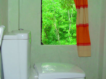 Ella Green Cottages *