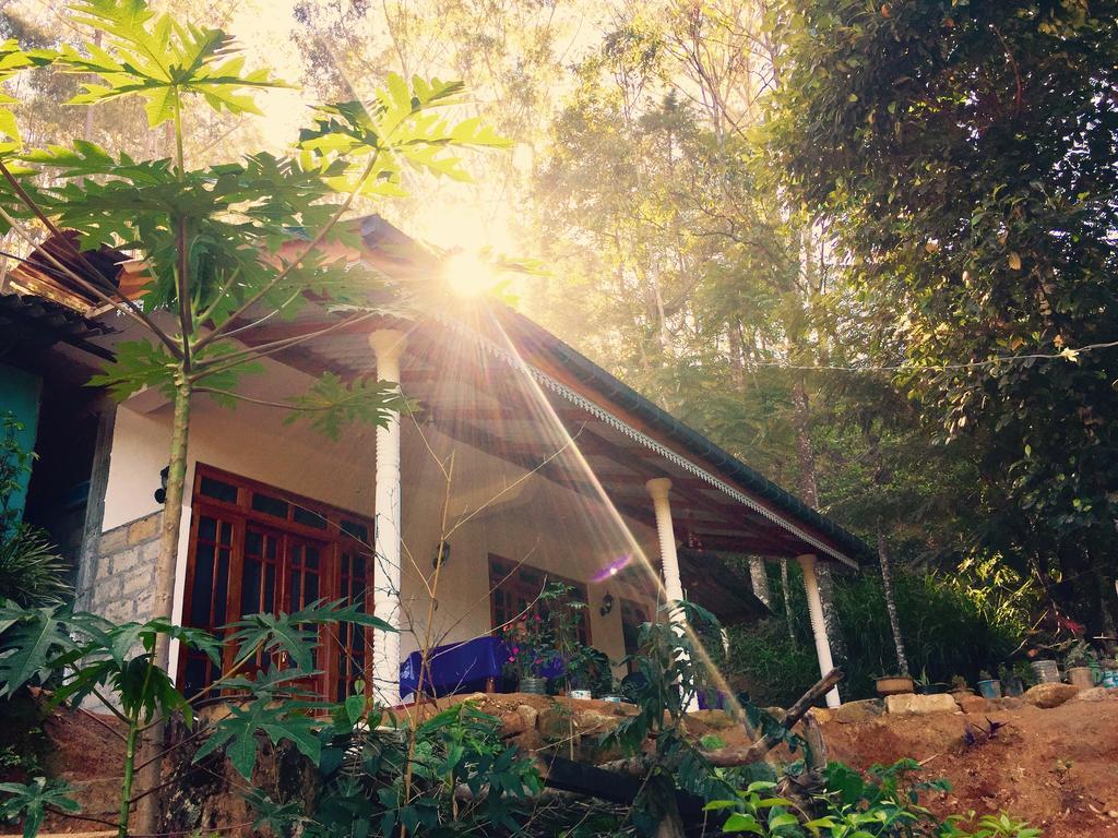 Secret Nest * Ella