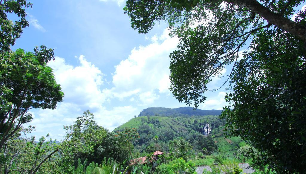 Sen - Rose Homestay