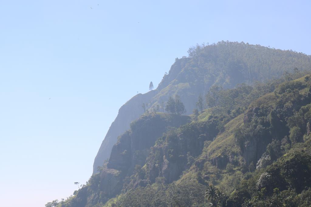 Ella's Edge 3*