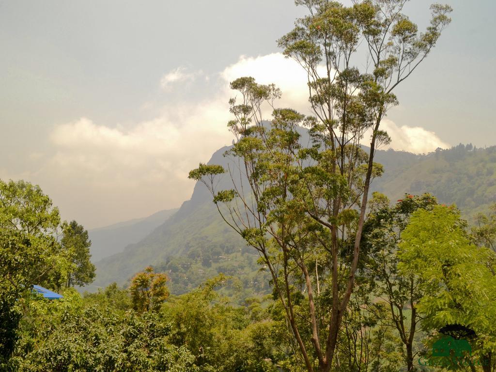 Village Homestay