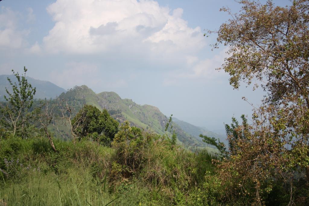 Village View