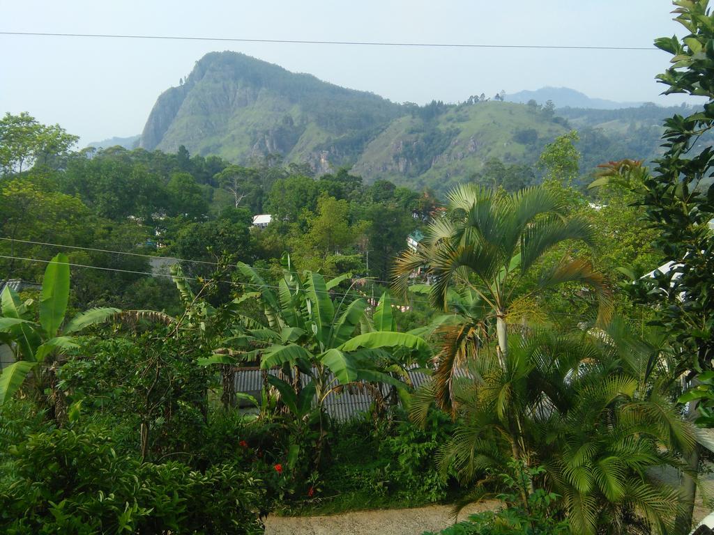 Eden View - Tour Options In The Area Guest house Ella