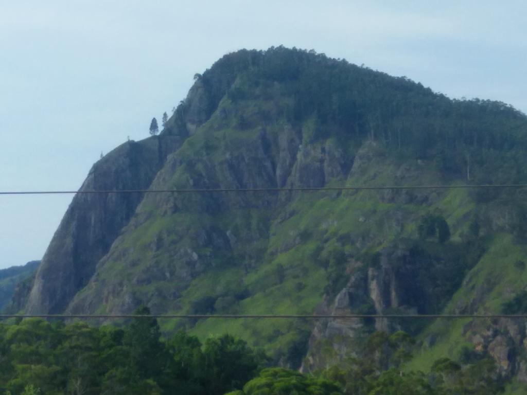Eden View - Tour Options In The Area Guest house