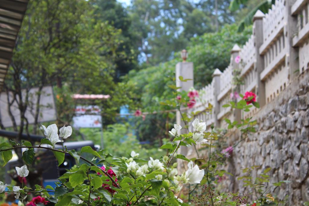 Guest house Mount Breeze