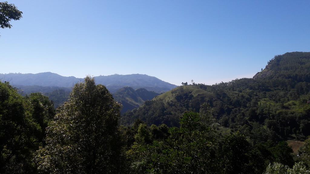 Homestay Silent Oasis