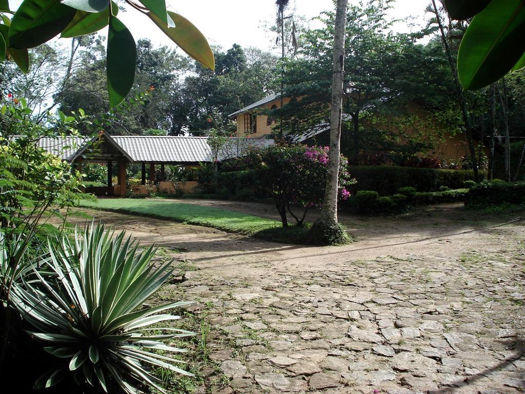 Sunnyside Ella