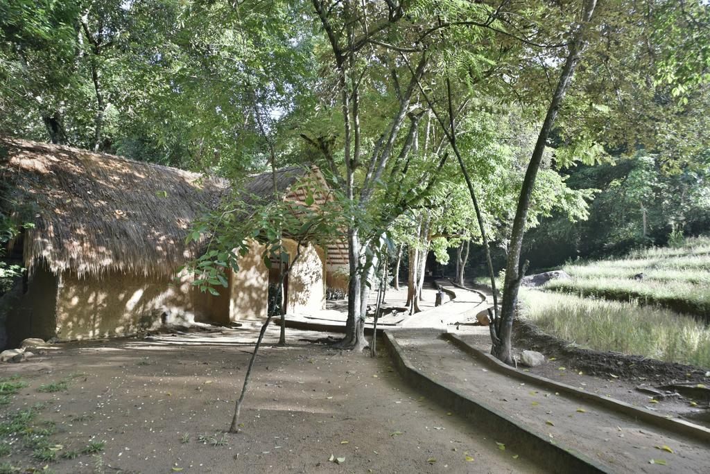 Jungle Resort