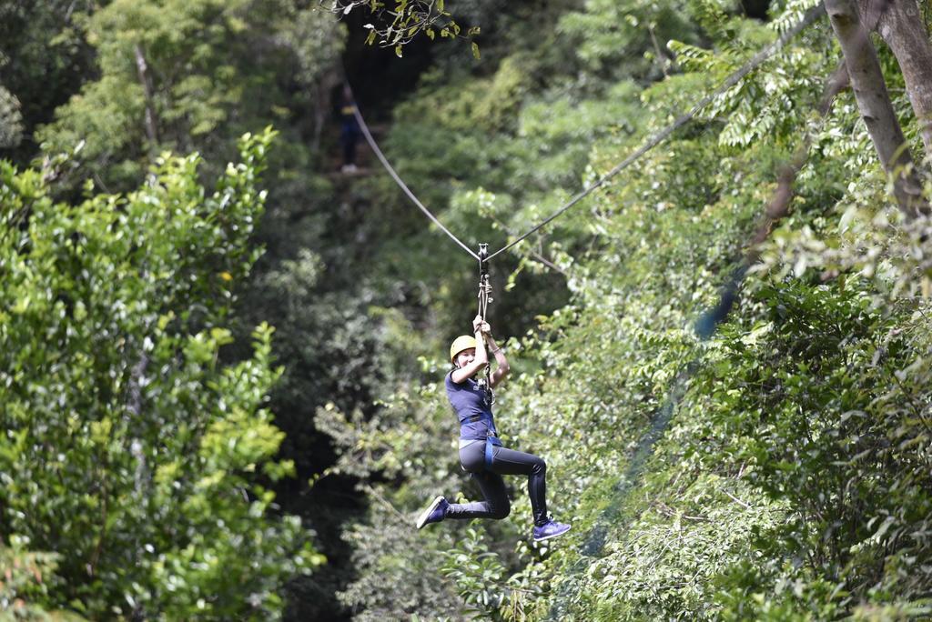 Resort Jungle 3*
