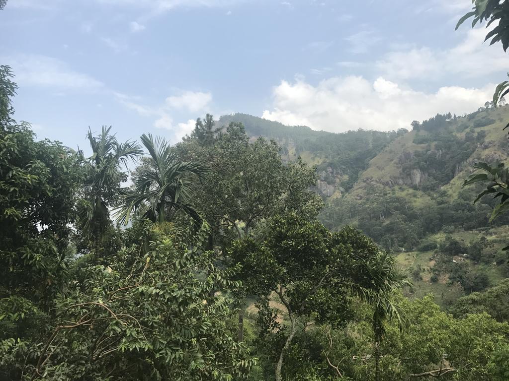Raveena Bed & Breakfast