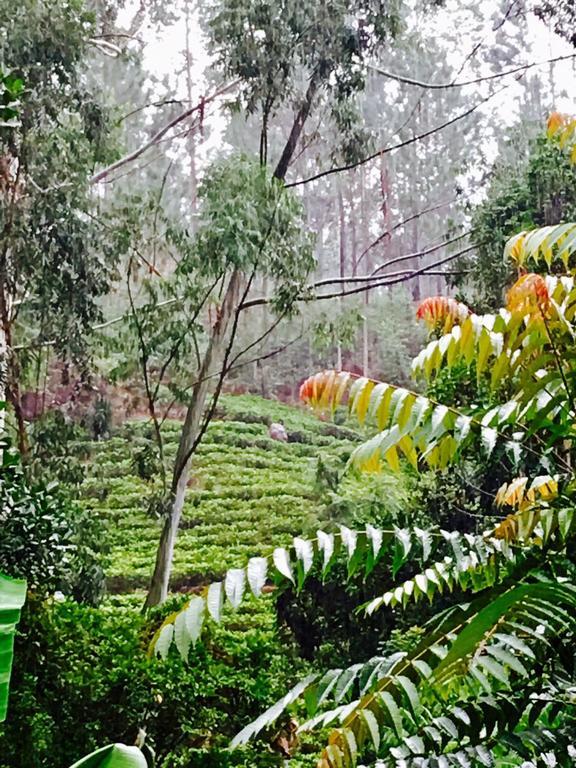 Silent Oasis Homestay Ella