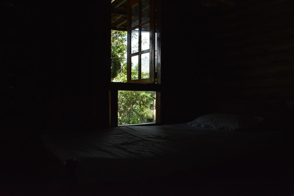 Little Folly *