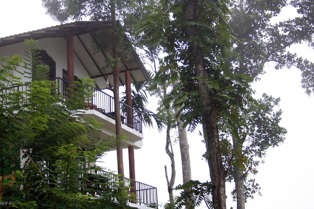 Hill Forest Hostel