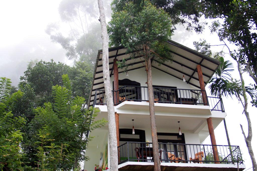 Hill Forest Hostel *