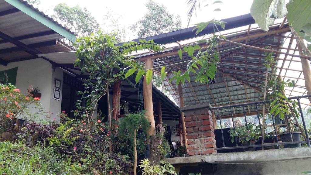 Idyll Homestay Guest house