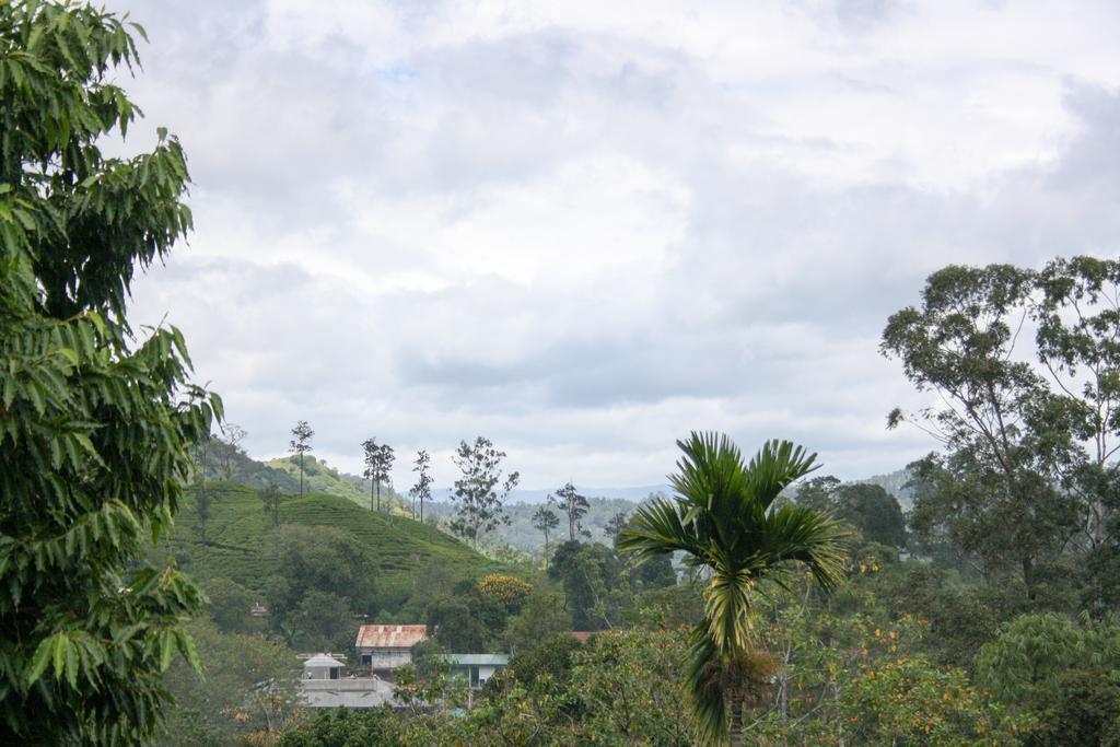 Homestay Elegant Ella