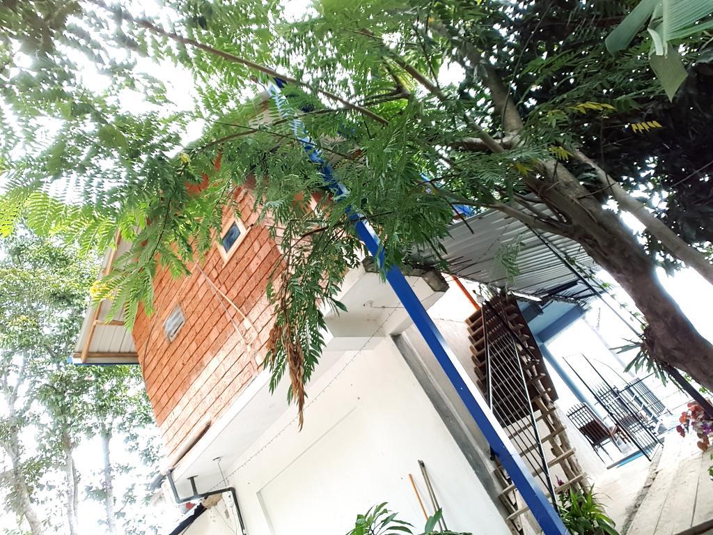 Will Guest Homestay