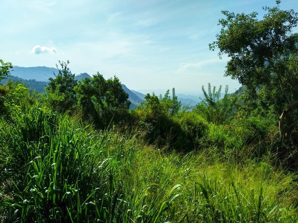 Village View