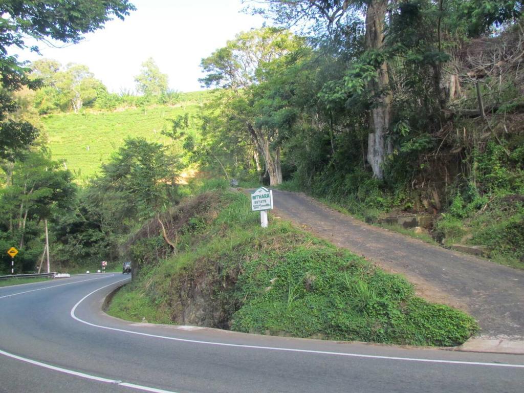 Sithara Estate Ella