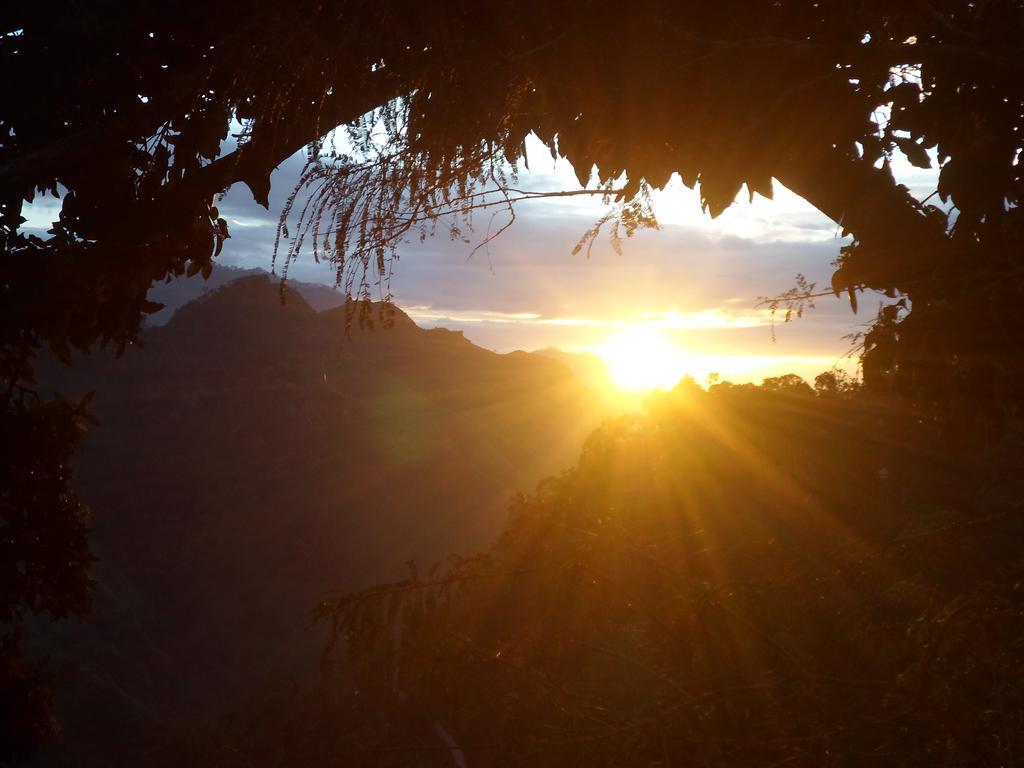 Idyll Homestay