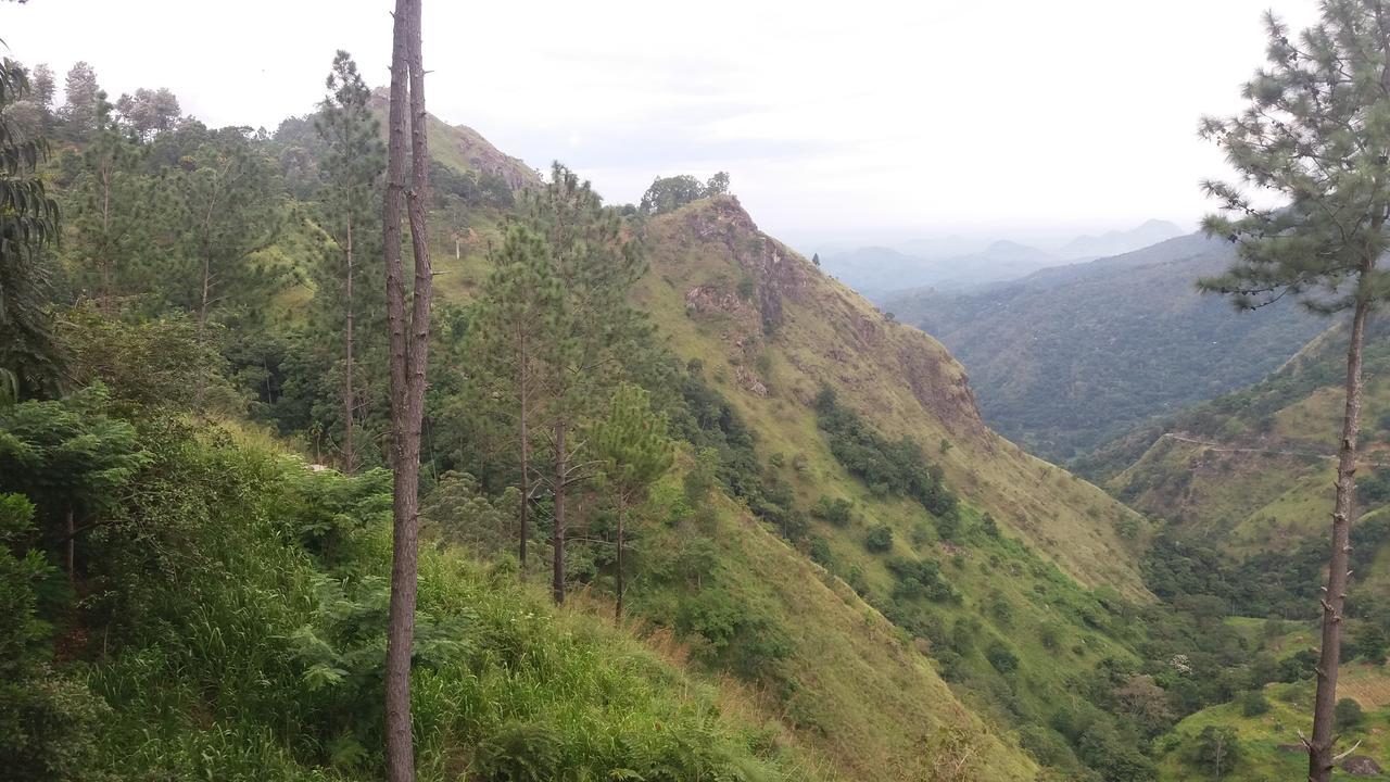 Mellow Homestay