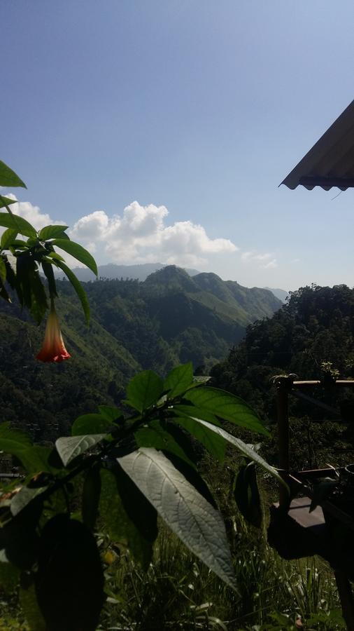 Idyll Homestay
