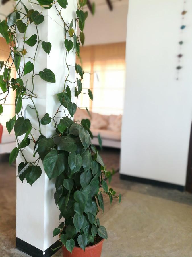 Emerald Mirror Guest Guest house *
