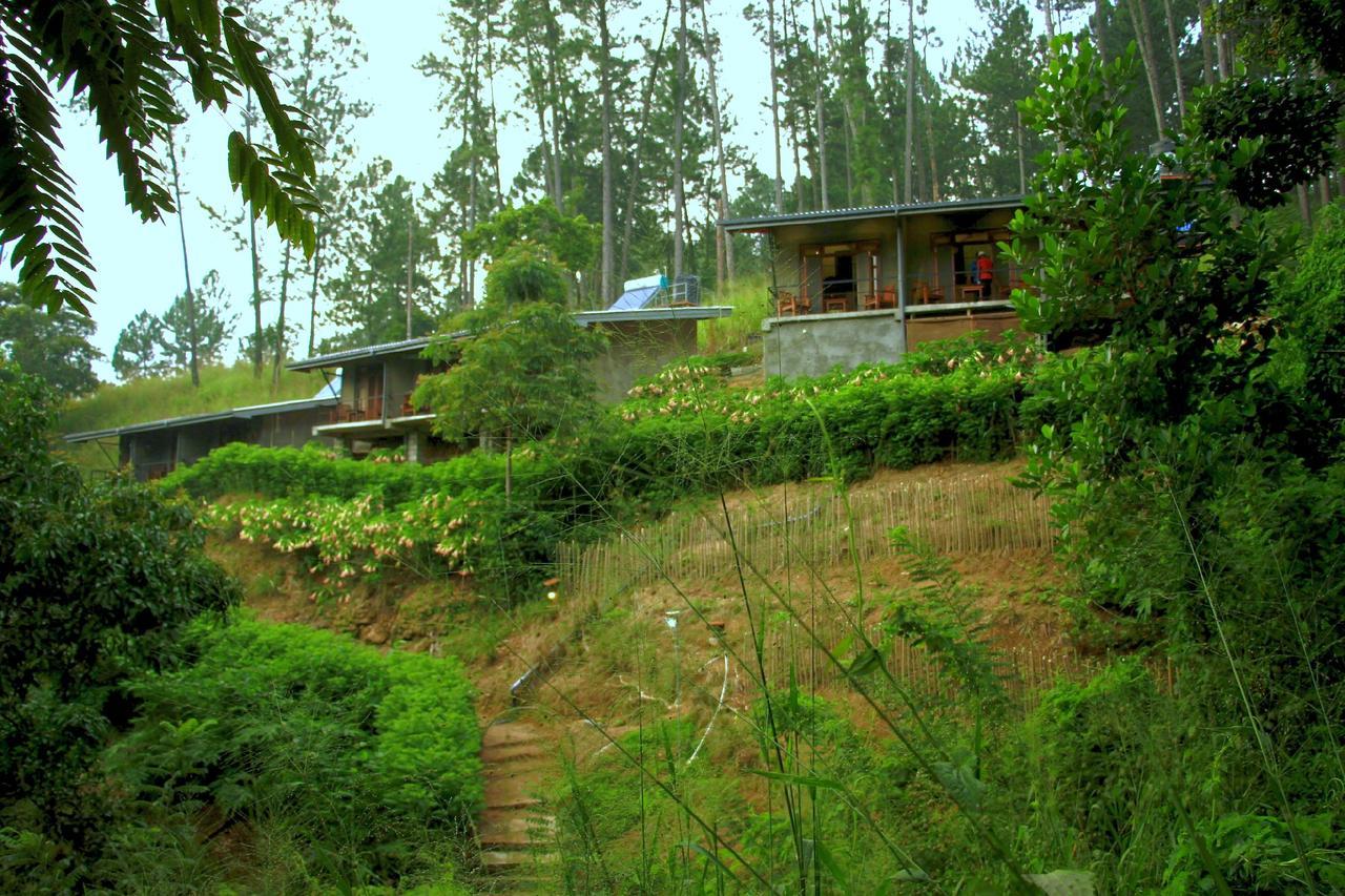 Rowinrich Guest house *