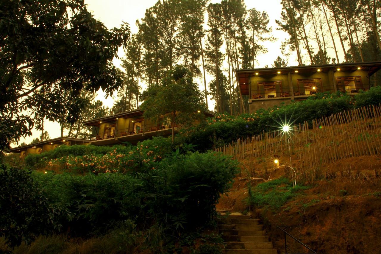 Guest house Rowinrich *