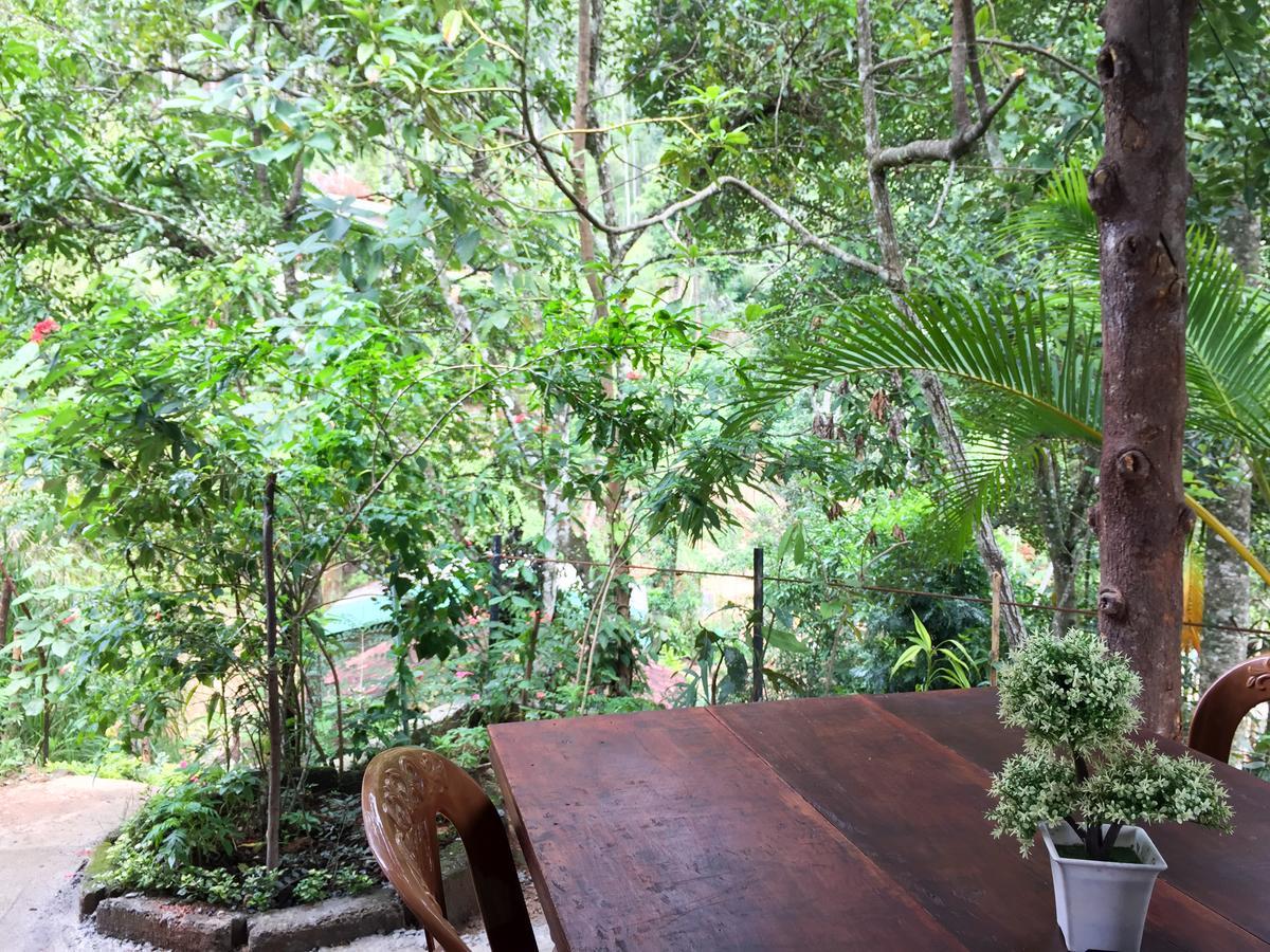 Homestay Aroma Heaven