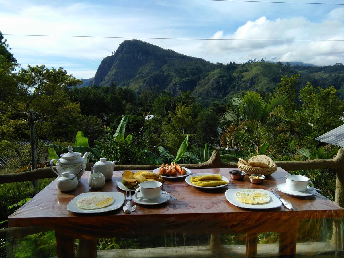 Eden View - Tour Options In The Area *