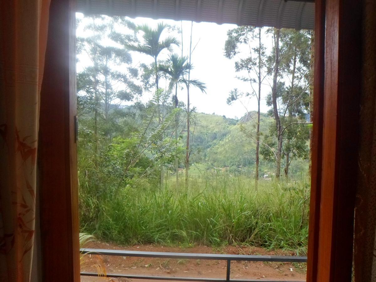 White Arcadia Guest house *