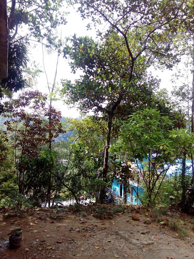 Homestay Hidden Hill