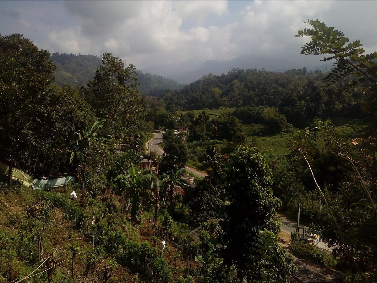 Paramount Homestay *